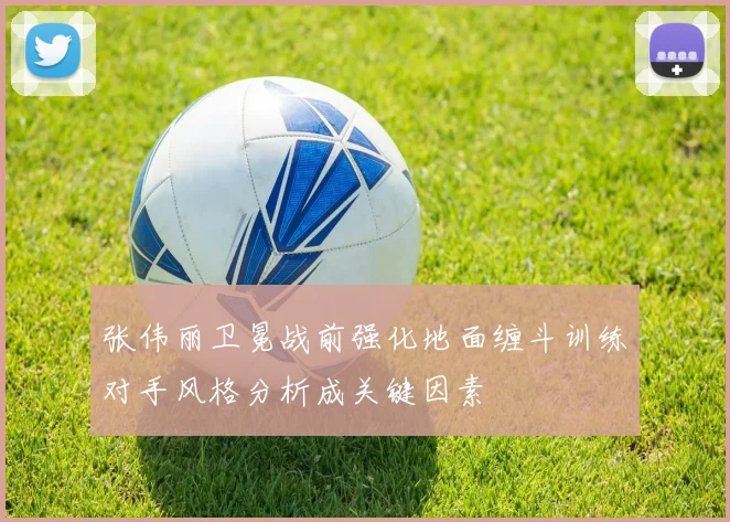 张伟丽卫冕战前强化地面缠斗训练对手风格分析成关键因素