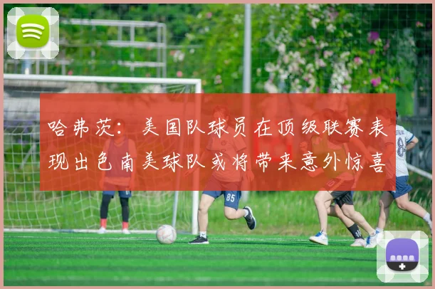 哈弗茨：美国队球员在顶级联赛表现出色南美球队或将带来意外惊喜